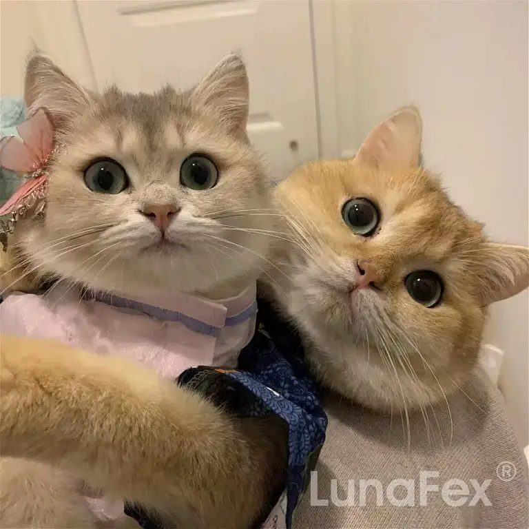 Robot Cat & TOBY the Robot Dog – The perfect pet duo for kids & families 14 Robot Cat 😺 & TOBY the Robot Dog 🐶 – The perfect pet duo for kids & families