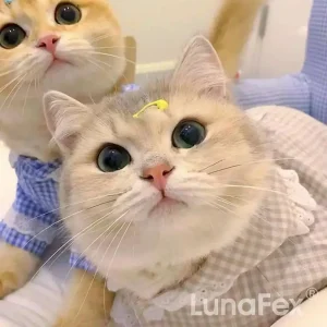 Robot Cat & TOBY the Robot Dog – The perfect pet duo for kids & families 30 Robot Cat 😺 & TOBY the Robot Dog 🐶 – The perfect pet duo for kids & families