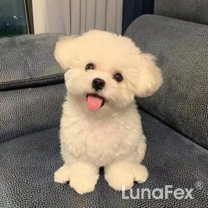 Robot Cat & TOBY the Robot Dog – The perfect pet duo for kids & families 28 Robot Cat 😺 & TOBY the Robot Dog 🐶 – The perfect pet duo for kids & families