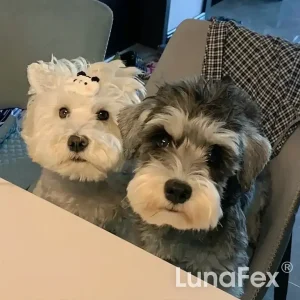 Robot Cat & TOBY the Robot Dog – The perfect pet duo for kids & families 27 Robot Cat 😺 & TOBY the Robot Dog 🐶 – The perfect pet duo for kids & families