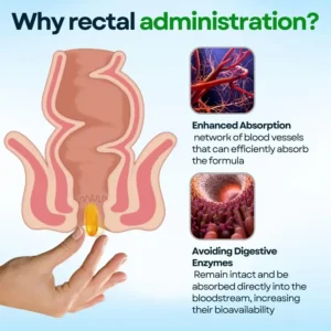 AEXZR™ Sugar Down Detox-Capsules 6 AEXZR™ Sugar Down Detox-Capsules