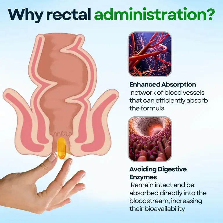 AEXZR™ Sugar Down Detox-Capsules 2 AEXZR™ Sugar Down Detox-Capsules