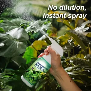 KISSHI™ Chlorophyll Spray