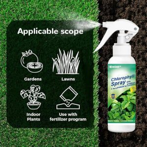 KISSHI™ Chlorophyll Spray