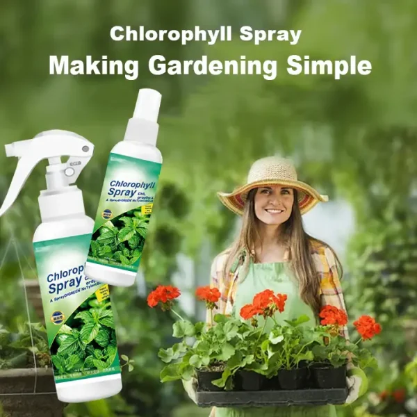 KISSHI™ Chlorophyll Spray