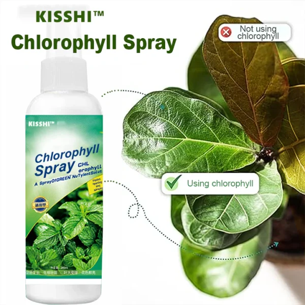 KISSHI™ Chlorophyll Spray