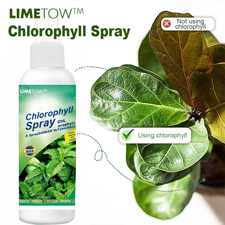 LIMETOW™ Chlorophyll Spray 1 LIMETOW™ Chlorophyll Spray