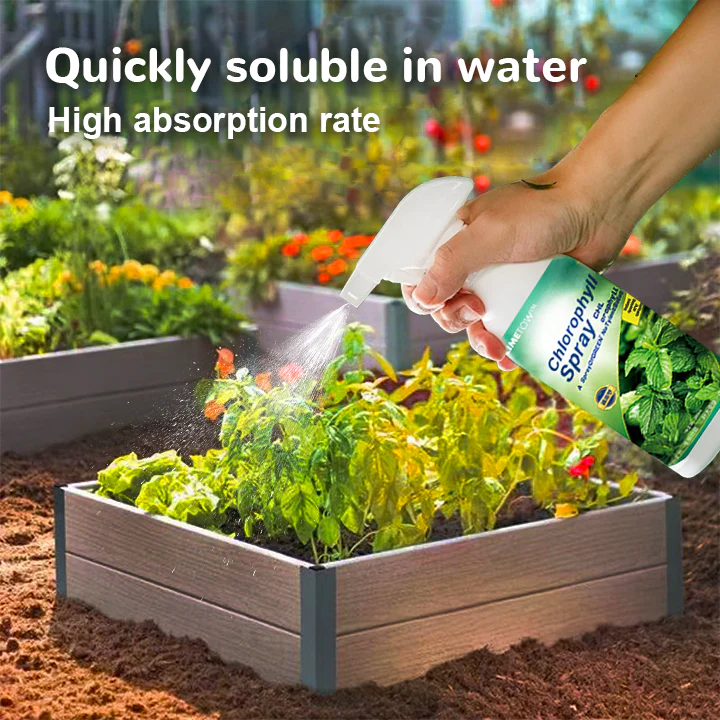 LIMETOW™ Chlorophyll Spray 6 LIMETOW™ Chlorophyll Spray